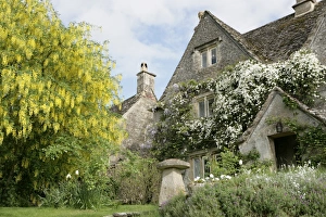 Cottage Cottage Prints: Calmsden