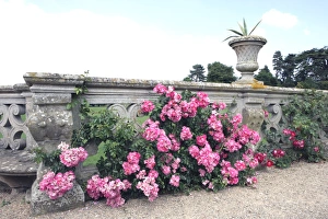 <b class=qtipBold><figcaption>Charlecote Park Warw</figcaption></b><br>Charlecote Park a Superb Tudor house with landscaped deer park. William Shakespeare is alleged to have been caught poaching in the park.<br><em>© Paul Felix Photography Twelve Beacon Park Pelynt nr Looe Cornwall PL13 2PQ photos@paulfelix.co.uk 01503 221069</em> Charlecote Park Warw