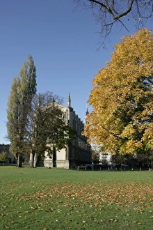 The Cotswold