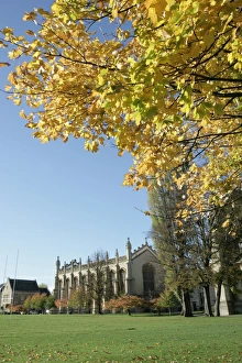 Cotswold Town Prints: Cheltenham
