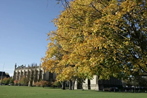 The Cotswold