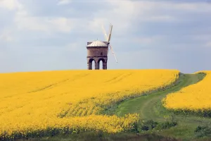 Windmill Prints: Chesterton