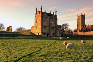 <b class=qtipBold><figcaption>Chipping Campden</figcaption></b><br>Sheep grazing below the church and the remains of the Old Manor House at Chipping Campden in the Cotswolds<br><em>© Paul Felix Photography Springfield Cottage Midwinter Road Northleach Glos England 01451 861893 photos@paulfelix.co.uk</em> Chipping Campden