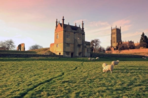 <b class=qtipBold><figcaption>Chipping Campden</figcaption></b><br>Sheep grazing below the church and the remains of the Old Manor House at Chipping Campden in the Cotswolds<br><em>© Paul Felix Photography Springfield Cottage Midwinter Road Northleach Glos England 01451 861893 photos@paulfelix.co.uk</em> Chipping Campden