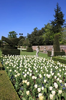<b class=qtipBold><figcaption>Cliveden</figcaption></b><br>THe Long Garden at Cliveden Buckinghamshire England<br><em>© Paul Felix Photography Twelve Beacon Park Pelynt nr Looe Cornwall PL13 2PQ photos@paulfelix.co.uk 01503 221069</em> Cliveden