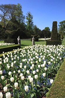 Cliveden