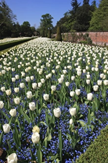 <b class=qtipBold><figcaption>Cliveden</figcaption></b><br>THe Long Garden at Cliveden Buckinghamshire England<br><em>© Paul Felix Photography Twelve Beacon Park Pelynt nr Looe Cornwall PL13 2PQ photos@paulfelix.co.uk 01503 221069</em> Cliveden
