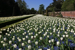 <b class=qtipBold><figcaption>Cliveden</figcaption></b><br>THe Long Garden at Cliveden Buckinghamshire England<br><em>© Paul Felix Photography Twelve Beacon Park Pelynt nr Looe Cornwall PL13 2PQ photos@paulfelix.co.uk 01503 221069</em> Cliveden