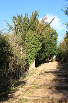 Cliveden