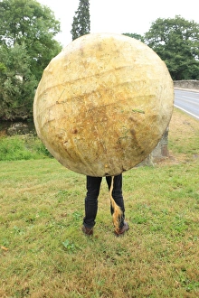Corracles