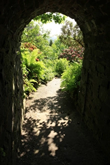 Cottage garden
