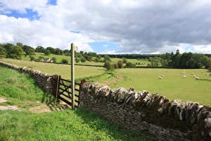 The Cotswold