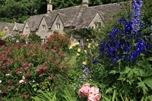 The Cotswold