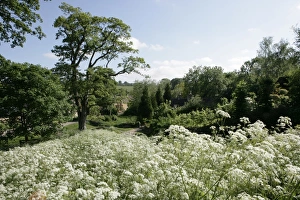 Cotswold village of Upper Slaughter