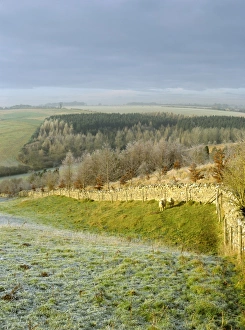 Cotswold in the winter