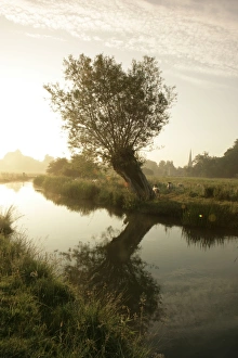 The Cotswolds