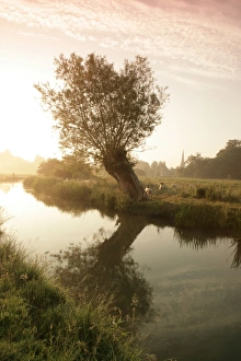 The Cotswolds