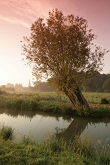 The Cotswolds
