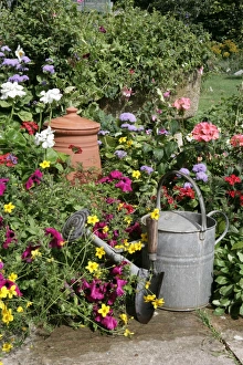 <b class=qtipBold><figcaption>Cottage garden</figcaption></b><br>A cottage garden in the cotswolds<br><em>© Paul Felix Photography Twelve Beacon Park Pelynt nr Looe Cornwall PL13 2PQ photos@paulfelix.co.uk 01503 221069</em> Cottage garden