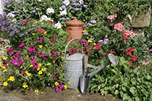 <b class=qtipBold><figcaption>Cottage garden</figcaption></b><br>A cottage garden in the cotswolds<br><em>© Paul Felix Photography Twelve Beacon Park Pelynt nr Looe Cornwall PL13 2PQ photos@paulfelix.co.uk 01503 221069</em> Cottage garden
