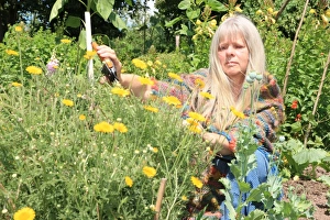 Dyeing and Spinning