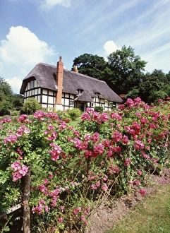 EASTNOR