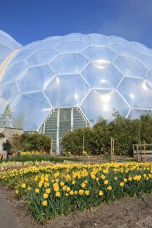 Eden Project Cornwall