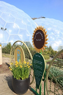 Eden Project