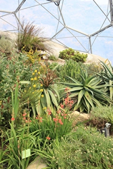 Eden Project