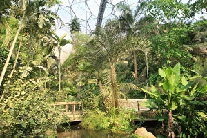 Eden Project