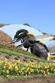 Eden Project