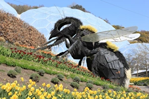 Eden Project Cornwall