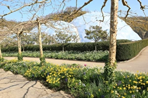 Eden Project