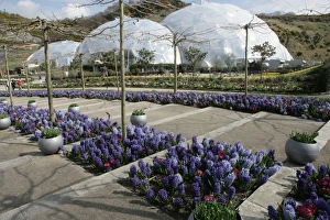 Eden Project