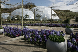 Eden Project