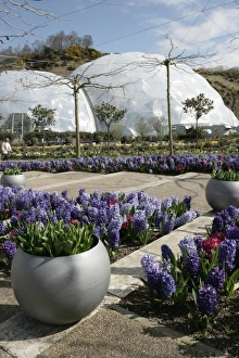 Eden Project