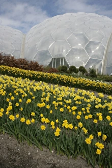 Eden Project