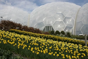 Eden Project