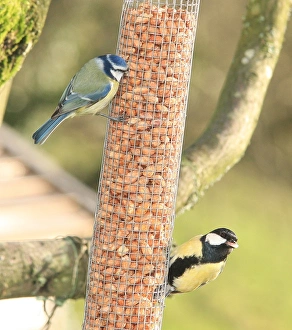 Feeding time