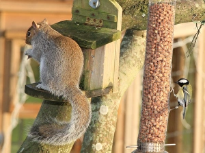 Feeding time
