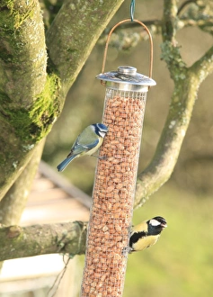 Feeding time