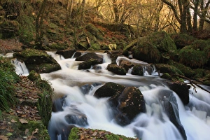 Golitha Falls