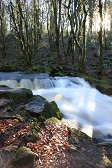 Water Falls