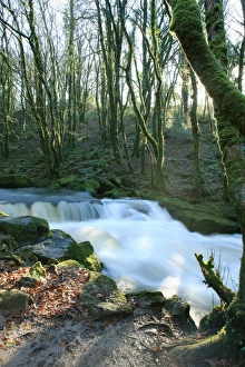 Water Falls