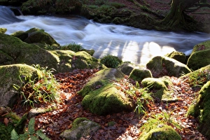 Water Falls