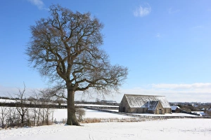 <b class=qtipBold><figcaption>Great Coxwell Barn</figcaption></b><br>A cold winters dat at Great Coxwell Barn near Faringdon Oxfordshire, A large monastic barn with a very fine stone roof and interesting timbers.<br><em>© Paul Felix Photography Twelve Beacon Park Pelynt nr Looe Cornwall PL13 2PQ photos@paulfelix.co.uk 01503 221069</em> Great Coxwell Barn