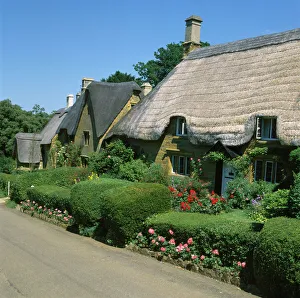 GREAT TEW