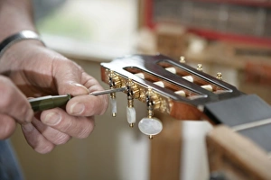 Guitar Maker