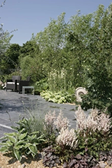 <b class=qtipBold><figcaption>Hampton Court Flower Show</figcaption></b><br>A colourful display in a garden border at the Hampton Court Flower Show on a early summers day<br><em>© Paul Felix Photography Twelve Beacon Park Pelynt nr Looe Cornwall PL13 2PQ photos@paulfelix.co.uk 01503 221069</em> Hampton Court Flower Show