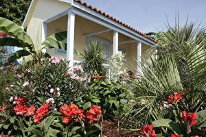 <b class=qtipBold><figcaption>Hampton Court Flower Show</figcaption></b><br>A colourful display in a garden border at the Hampton Court Flower Show on a early summers day<br><em>© Paul Felix Photography Twelve Beacon Park Pelynt nr Looe Cornwall PL13 2PQ photos@paulfelix.co.uk 01503 221069</em> Hampton Court Flower Show